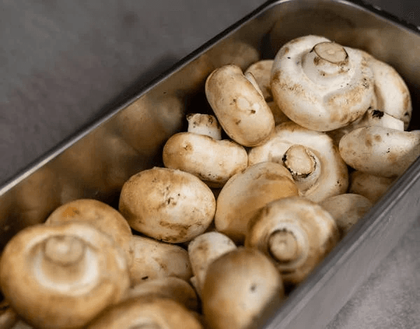 Avoid Waste and Loss